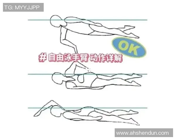 掌握自由泳技巧的关键步骤与常见问题解析帮助你提高游泳水平 掌握自由泳技巧的关键步骤与常见问题解析帮助你提高游泳水平