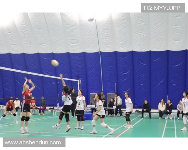 广州排球队在全国排球技术排行榜中荣获第八名展现实力与潜力