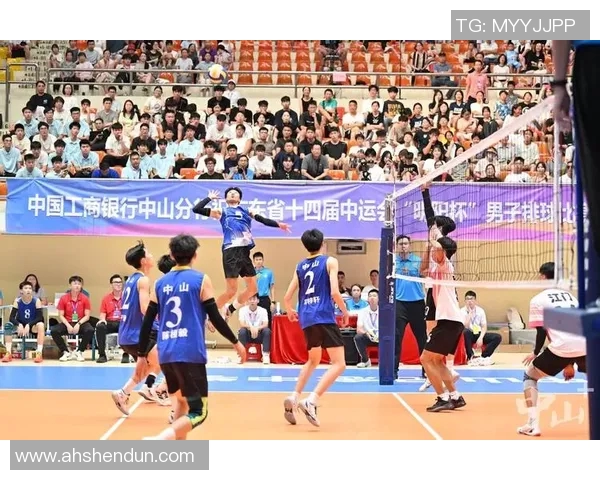 武汉排球队的拼搏精神与实力展现排球运动的无限魅力与希望