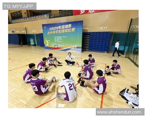 深圳排球队逆袭之路的真实记录与奋斗精神的展现