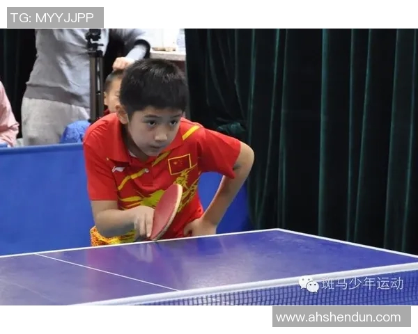 北京乒乓球队在欧锦赛中的个人能力展现与整体表现分析 北京乒乓球队在欧锦赛中的个人能力展现与整体表现分析