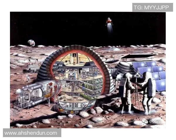 阿根廷足球甲级联赛历史发展、竞争格局与未来展望分析