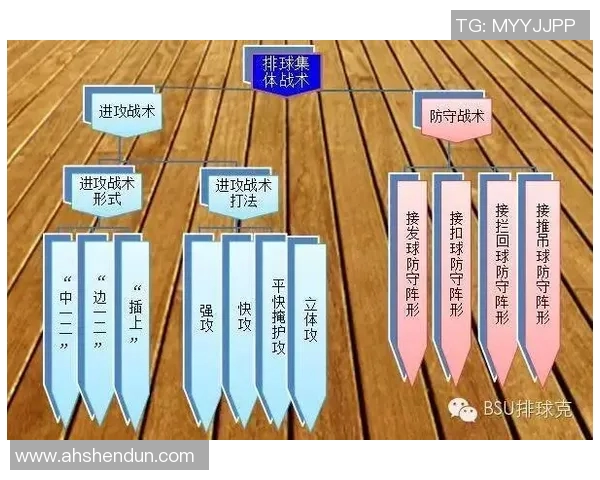 成都排球队灵活性对比分析及其对战术调整的影响探讨 成都排球队灵活性对比分析及其对战术调整的影响探讨