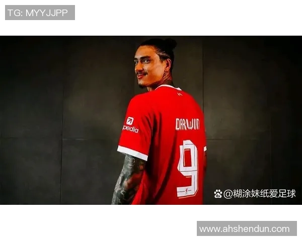 乌拉圭足球9号背后的传奇明星与他的辉煌成就解析